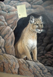20070102094310_more_artwork_031