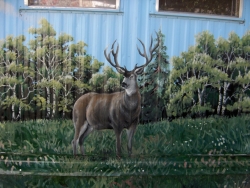 20070102111518_more_artwork_341