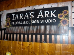 20070105172346_taras_ark_10___06_032